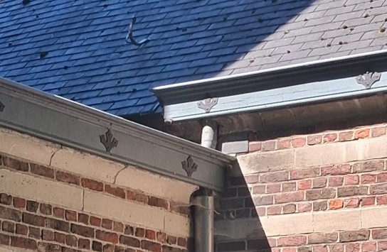  (vergroot foto)